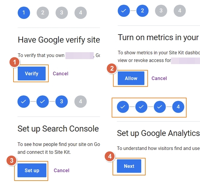 사이트 분석 시작