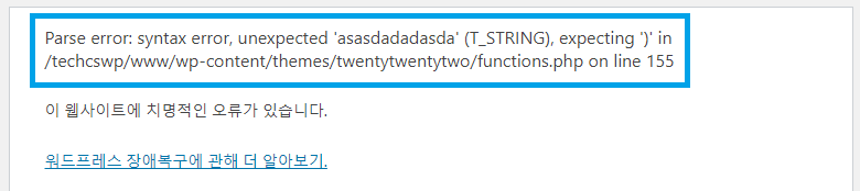 WP_DEBUG 활성화 후 브라우저에서 확인되는 PHP 오류 메시지 예시